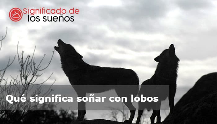 Qué significa soñar con lobos (2022) 25 Significados