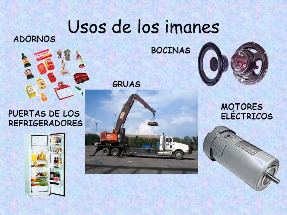Historia, Características, Tipos Y Mucho Más