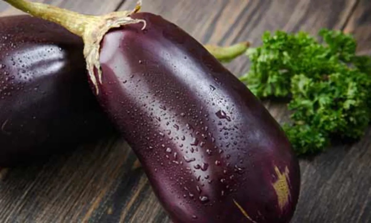 Do you know the unexpected benefits of eggplant for the human body?