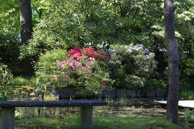 Tour Arthur Erickson S Garden