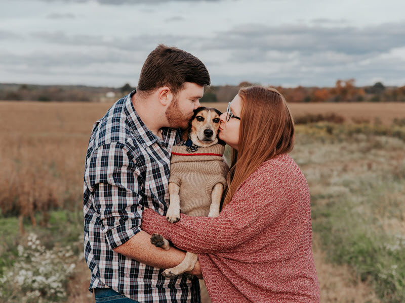 Dog Day Care and Boarding Miss Drew's Doggy Day Care Spring City