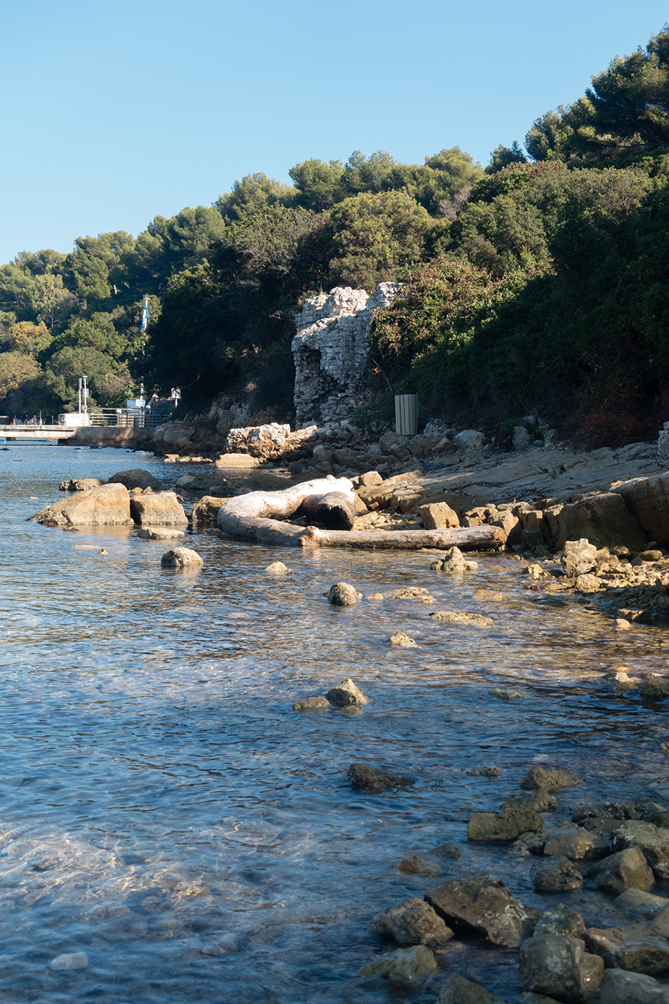 La beauté de l’île SteMarguerite Vanessa Frégeau