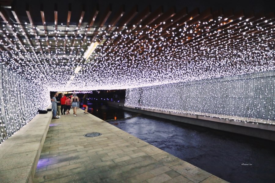 台中中區景點【柳川水岸步道】燈光閃亮亮裝置藝術！市區首座永續性生態工法開發的景觀河岸！IG打卡/老少咸宜/親子同遊