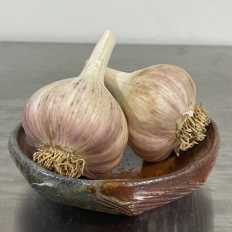 Fire Garlic Seed Stock missinglinkfarm