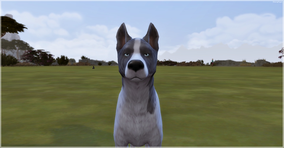 4. Kapitel Die große Frage Sims Challenges