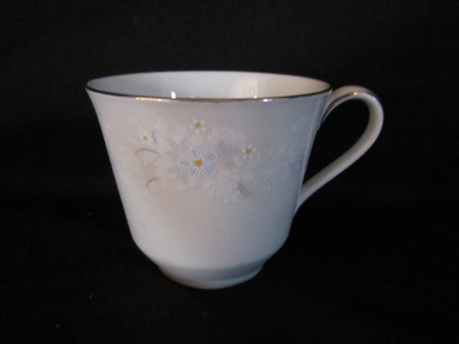 Royal Doulton Bedford TC1116 Cup & Saucer Missing Pieces Discontinued