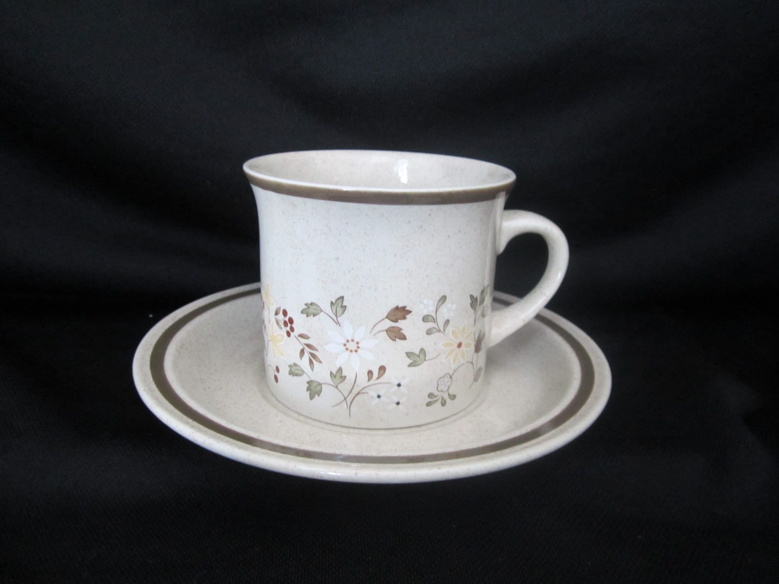 Royal Doulton Uplands LS1026 Cup & Saucer Missing Pieces Discontinued