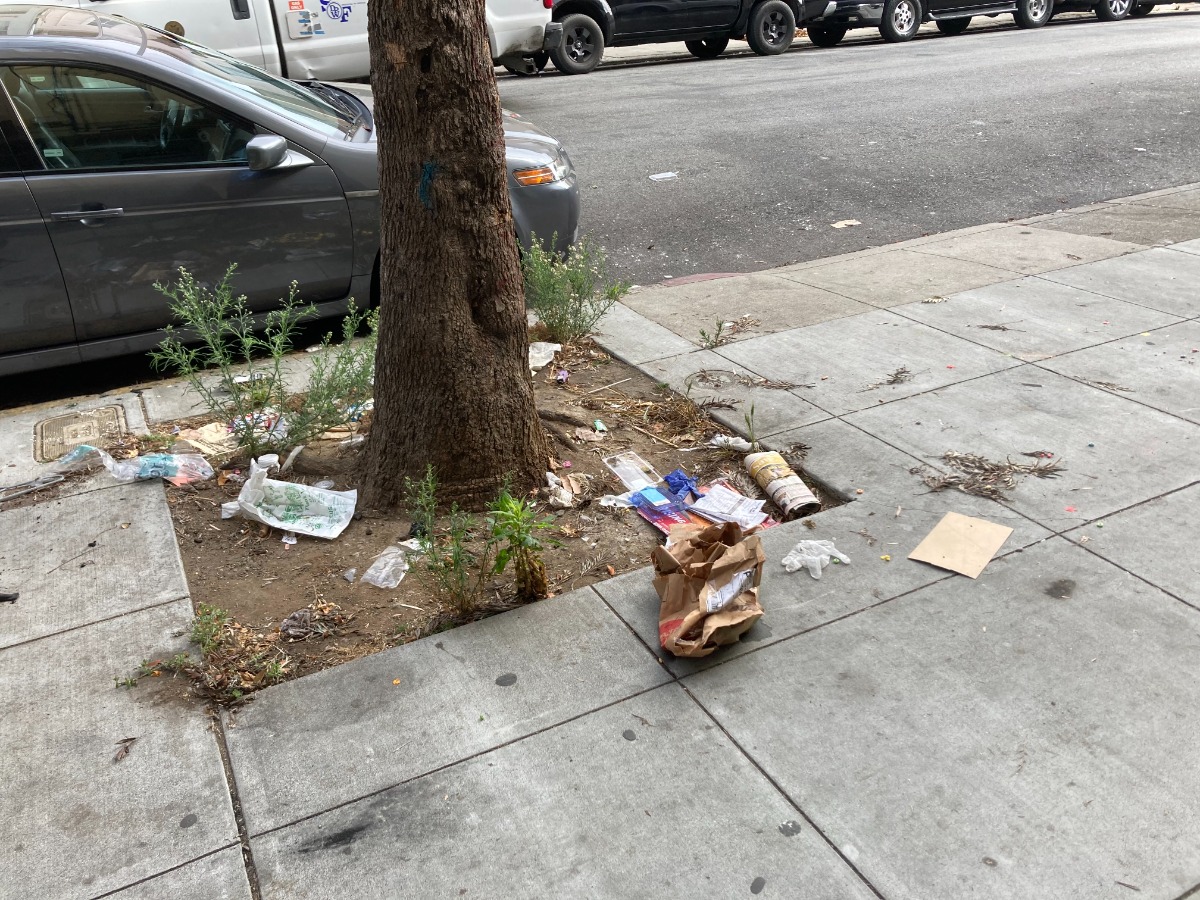 The people taking San Francisco’s trash into their own hands Mission