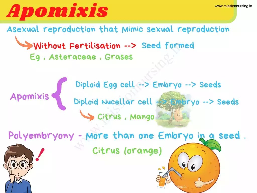 Reproduction in Plants Angiosperm Mission Nursing