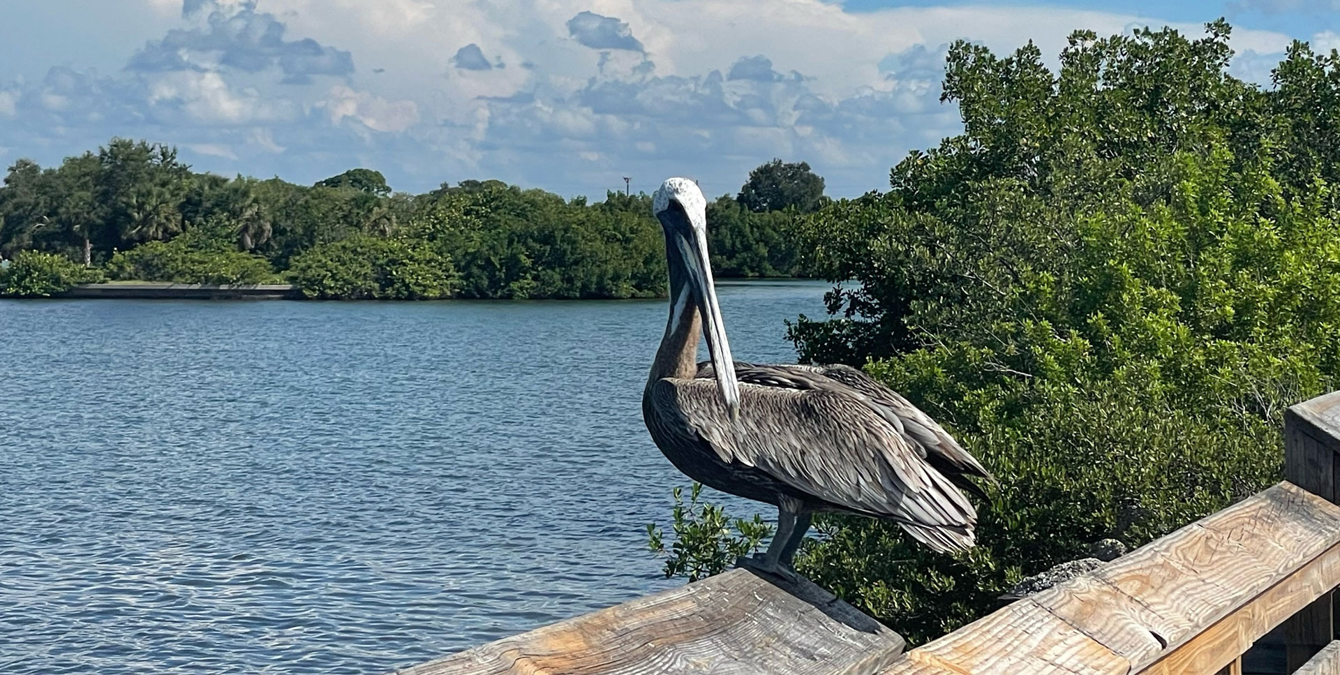 Placida Cape Haze Mission One Builders