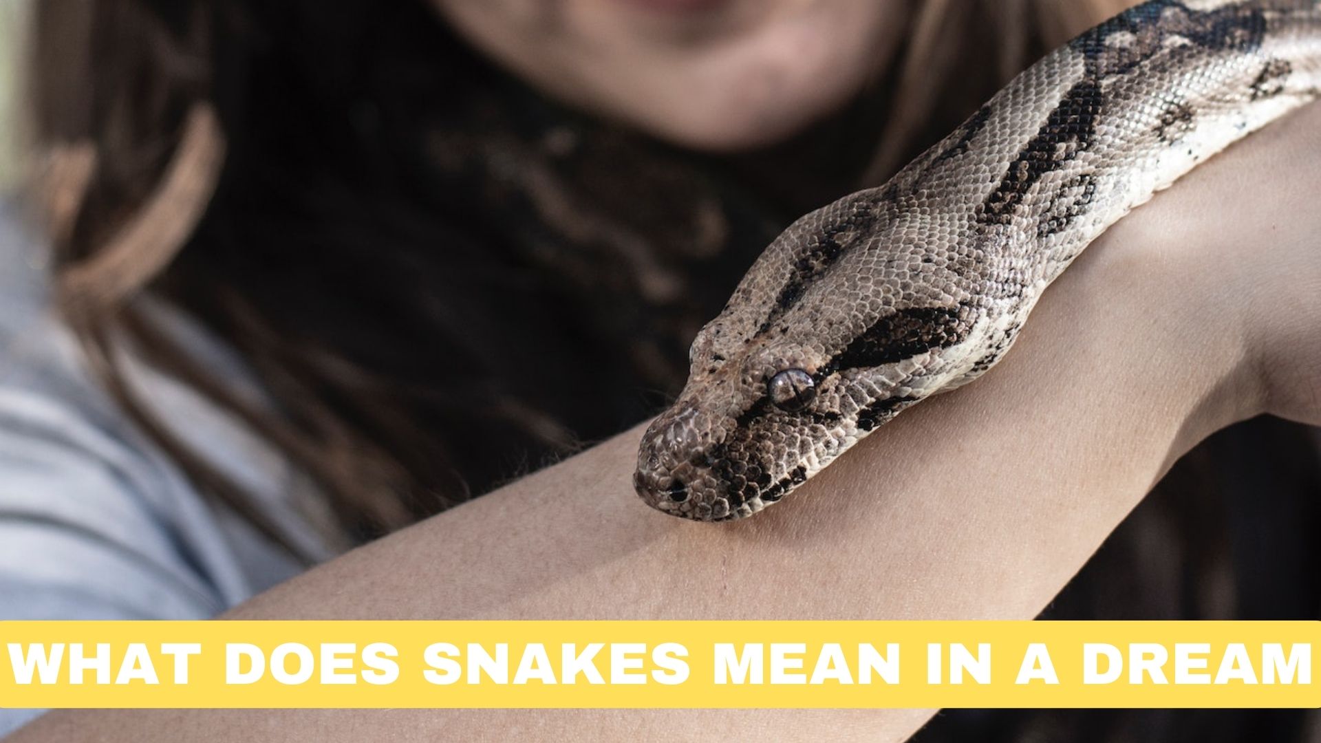 What Does Snakes Mean In A Dream?