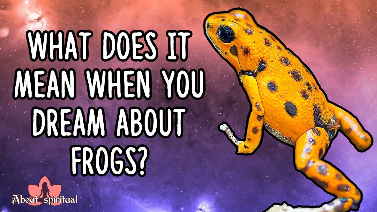 Dreaming About Frogs Meaning Symbolize Good Luck, Fertility, And