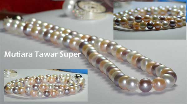 Awe-Inspiring Harga Mutiara Kerang Air Tawar Awe-Inspiring