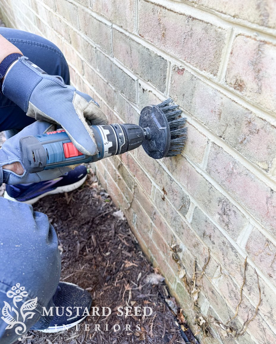 cleaning ivy (roots & stains) off of brick Miss Mustard Seed