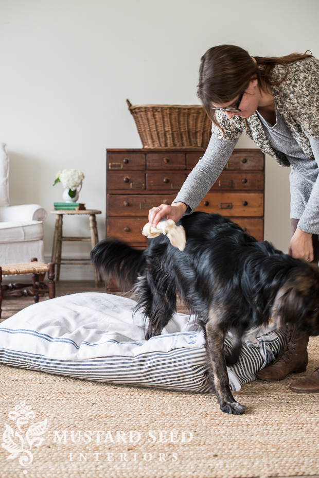 farmhousestyle dog bed cover Miss Mustard Seed