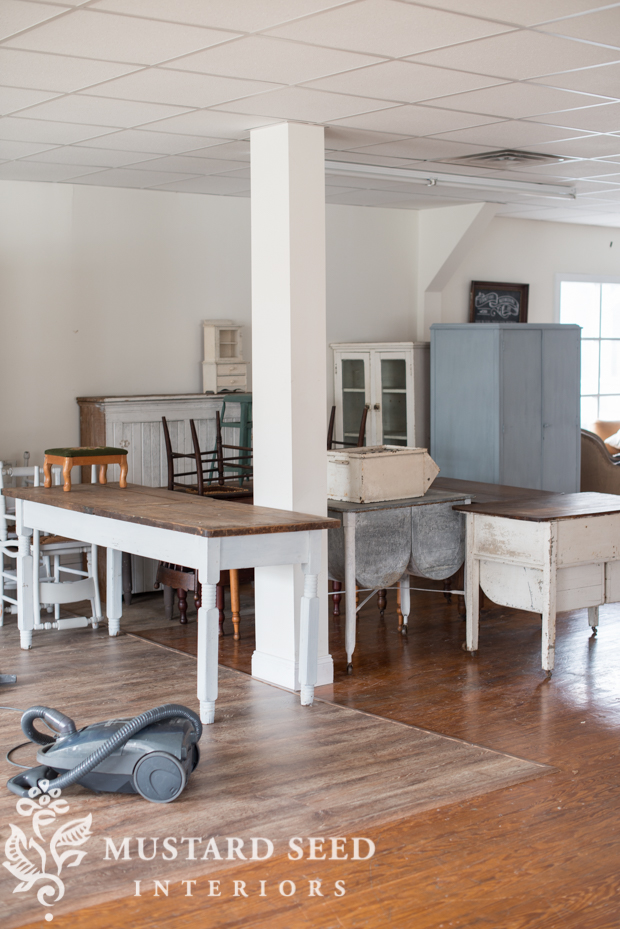 All the details for Lucketts 2017 Miss Mustard Seed