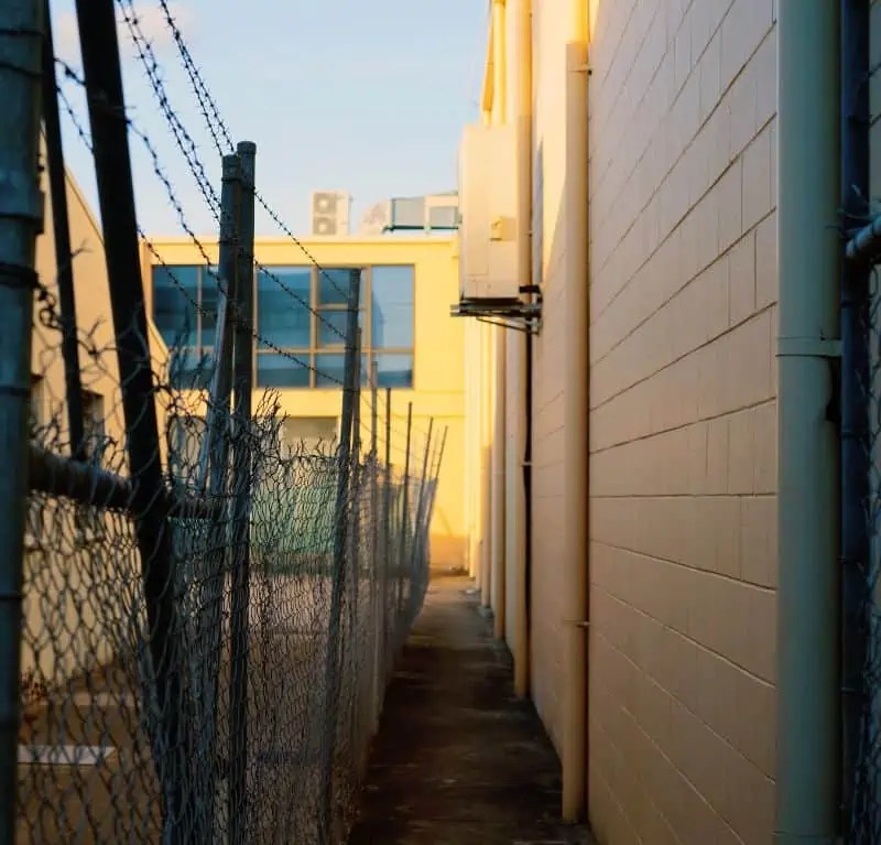 How Long to Wait Before Staining Your PressureTreated Wood Fence