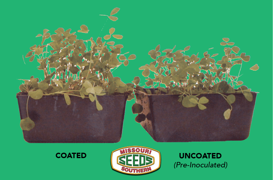 The Big Debate Coated Seed vs NonCoated Seed for Legumes Missouri
