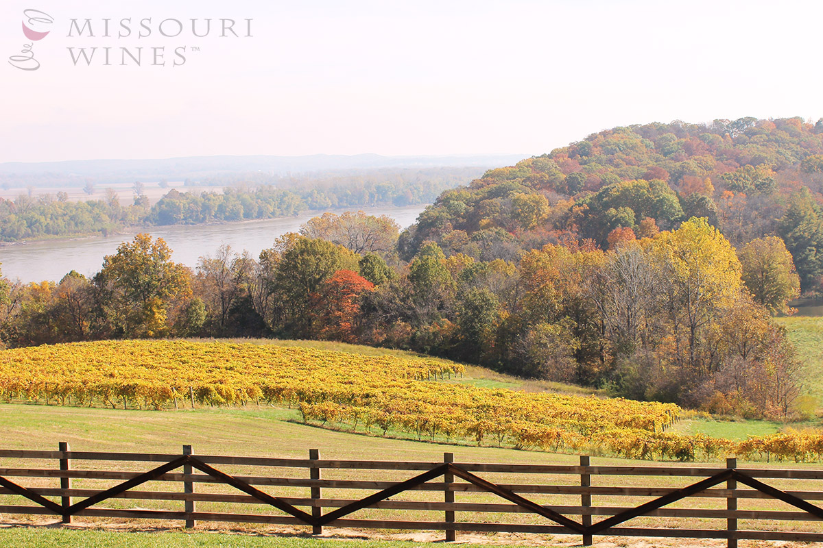 The Best Fall Views Are in MO Wine Country MO Wines