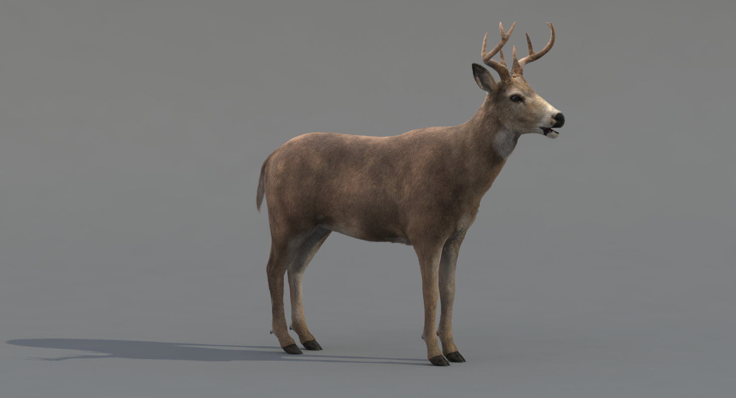 Deer (Fur) — Missset