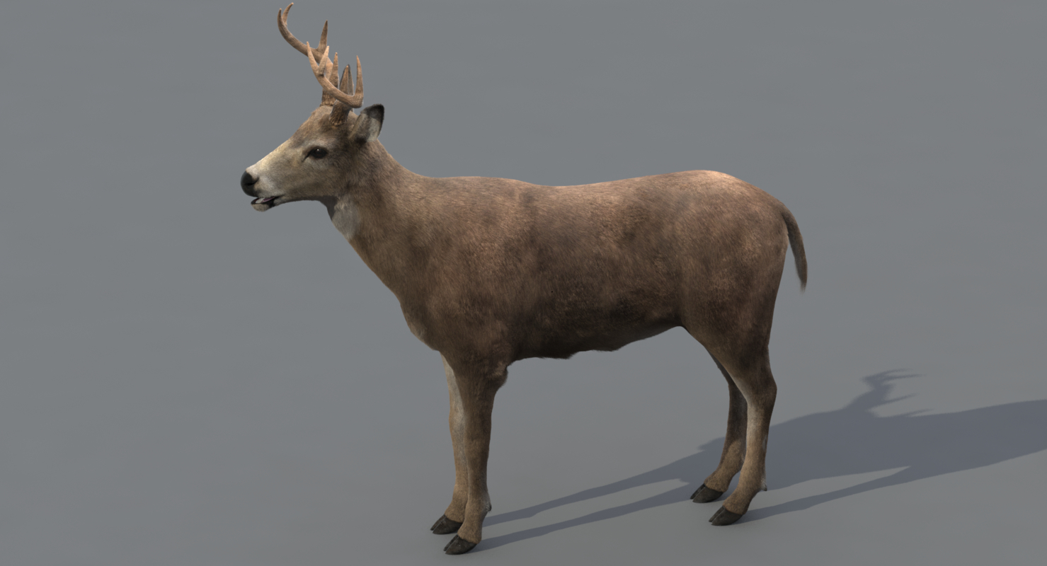 Deer (Fur) — Missset