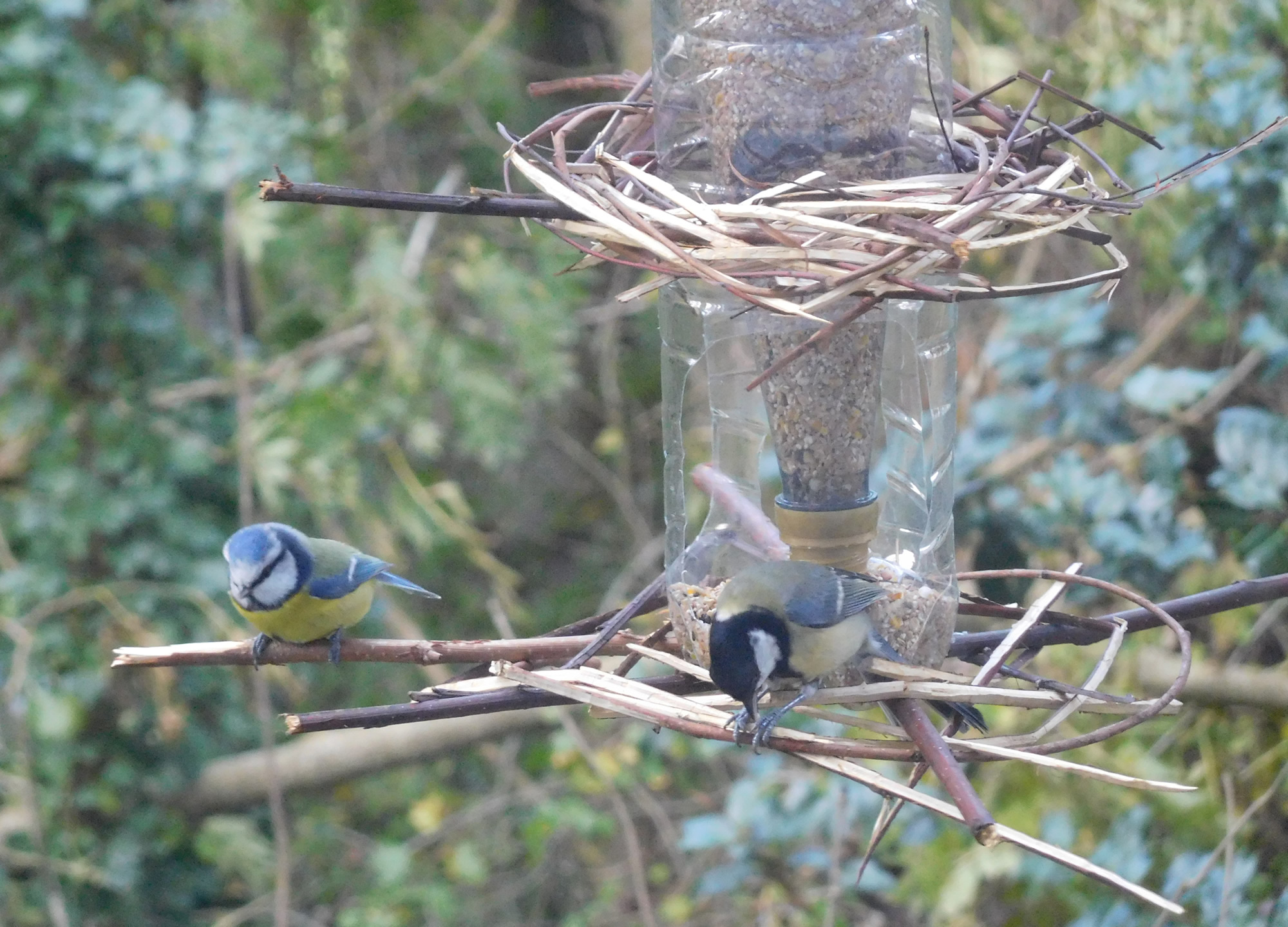 Science of bird feeders
