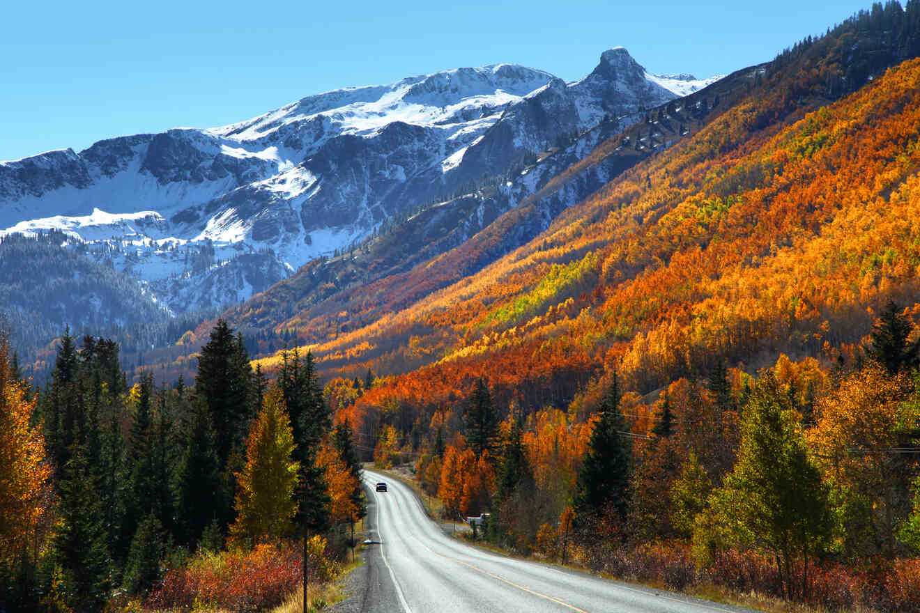 20 Best Places to Stay in Aspen, CO for Summer & Winter