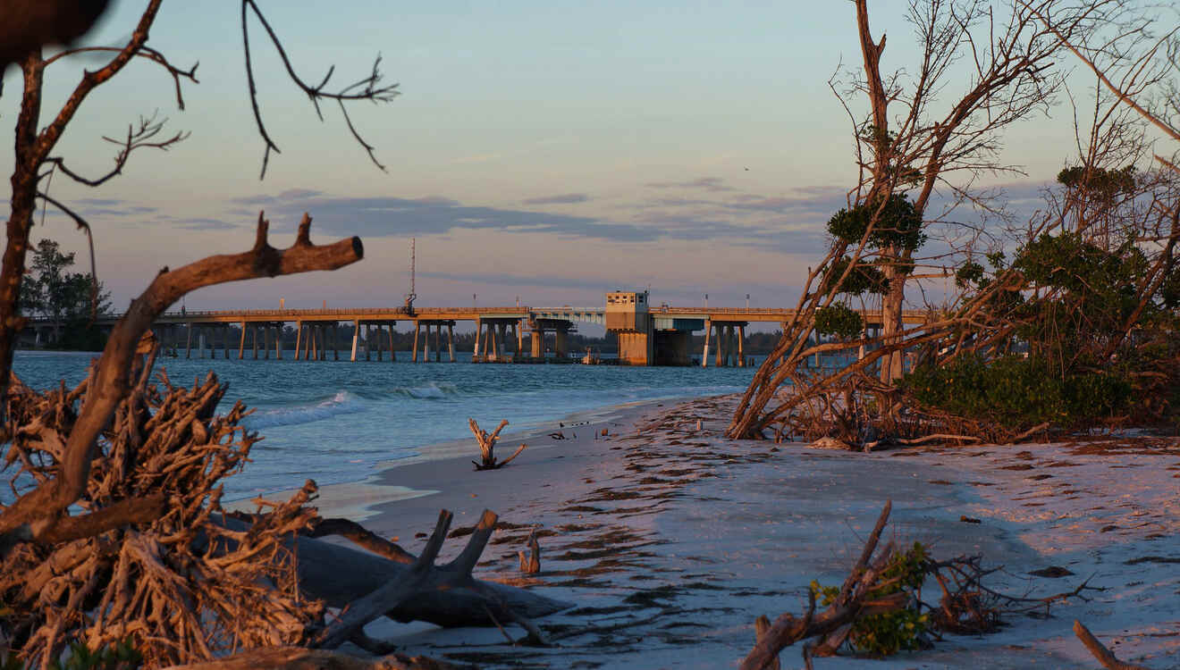 Ultimate Guide to Beer Can Island (Longboat Key) w. Tips
