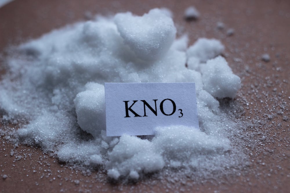 3 Best Saltpeter Substitutes (Alternatives To Saltpeter) Miss Vickie