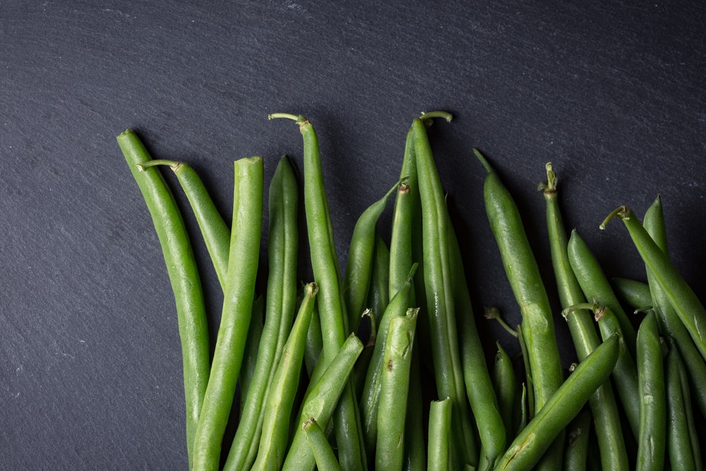 White Slime On Green Beans Whats The Reason? Miss Vickie