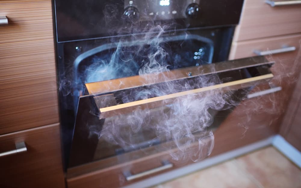 Why Does My Oven Smoke When Roasting? (4 Common Causes) Miss Vickie