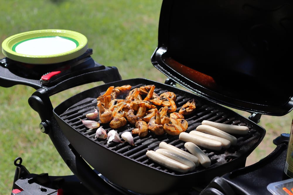 6 Most Common er Grill Problem Miss Vickie