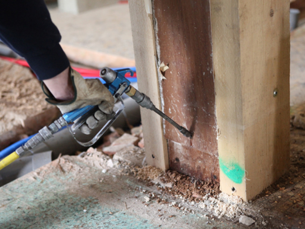 MisterB Pest Control Highest Quality Pest Control Services!