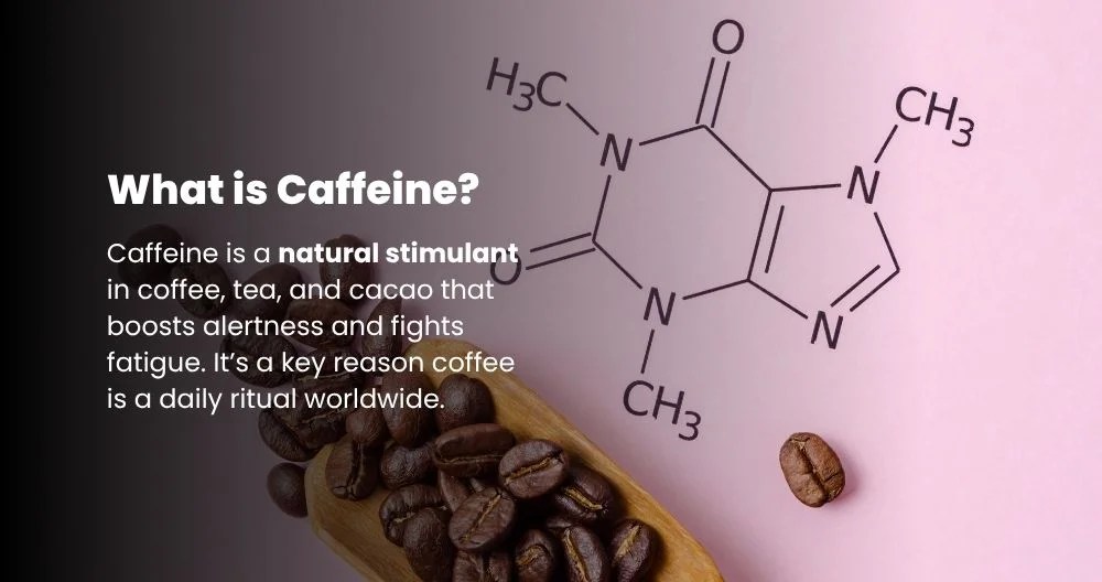 Caffeine in Coffee Benefits & Amounts 2025 Mister Coffee