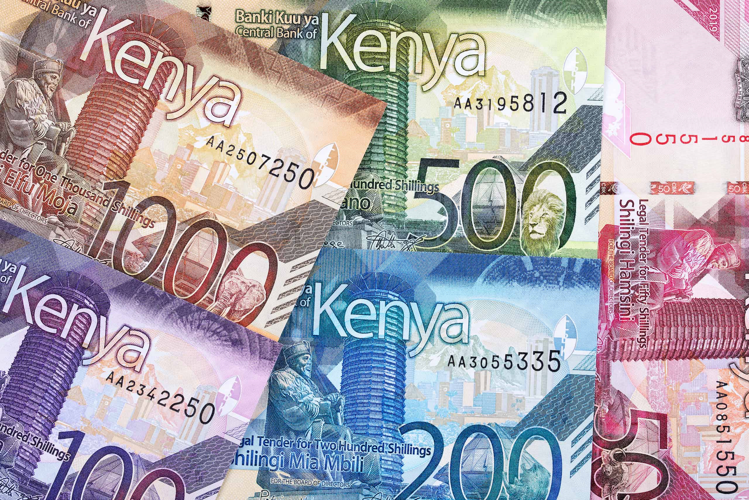 How Much Does A Horse Cost In Kenyan Shillings at Ronald Cecil blog