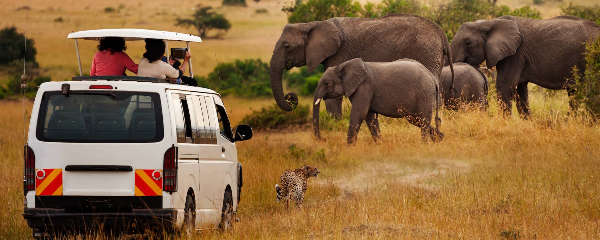 Best Things To Do in Kenya Parks & Activities [2024]