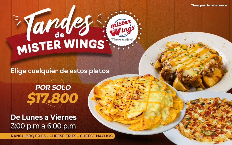 Promociones Mister Wings