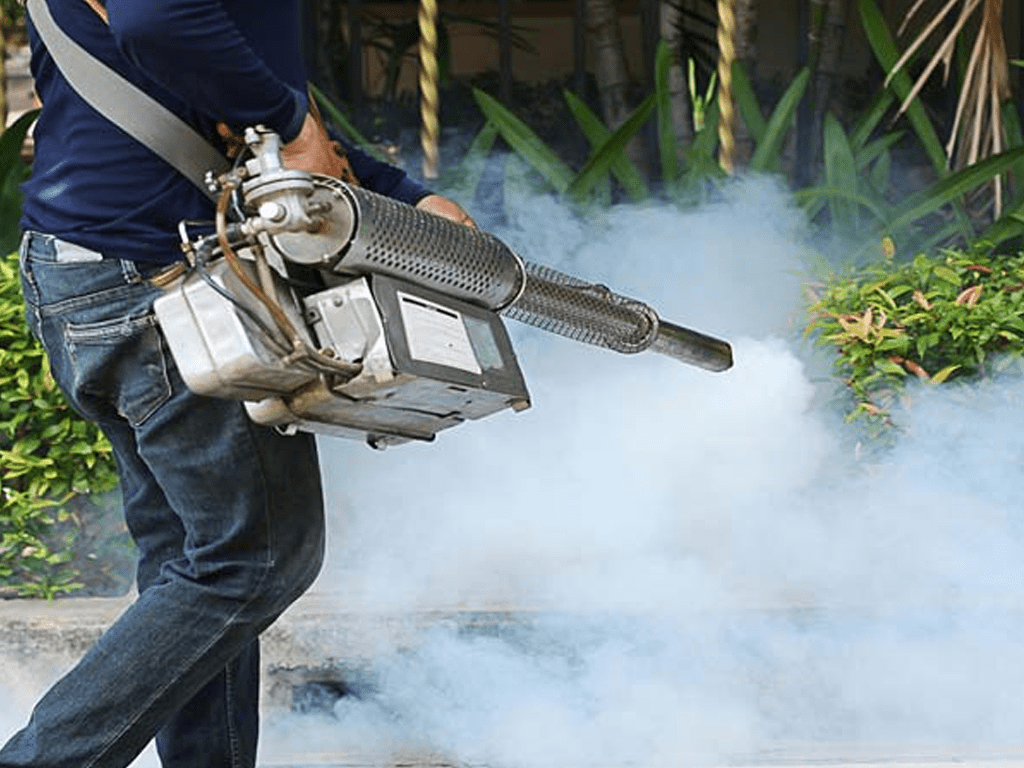 Pest Control Services in Noida and Ghaziabad