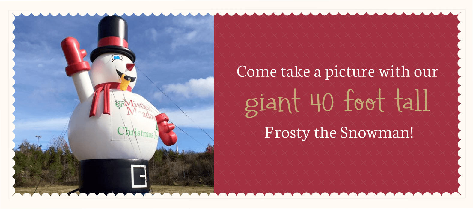 Christmas Trees Cary Nc Cary, NC Fresh Christmas Trees ⋆ Mistletoe Meadows