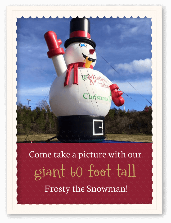 Asheboro, NC Fresh Christmas Trees ⋆ Mistletoe Meadows