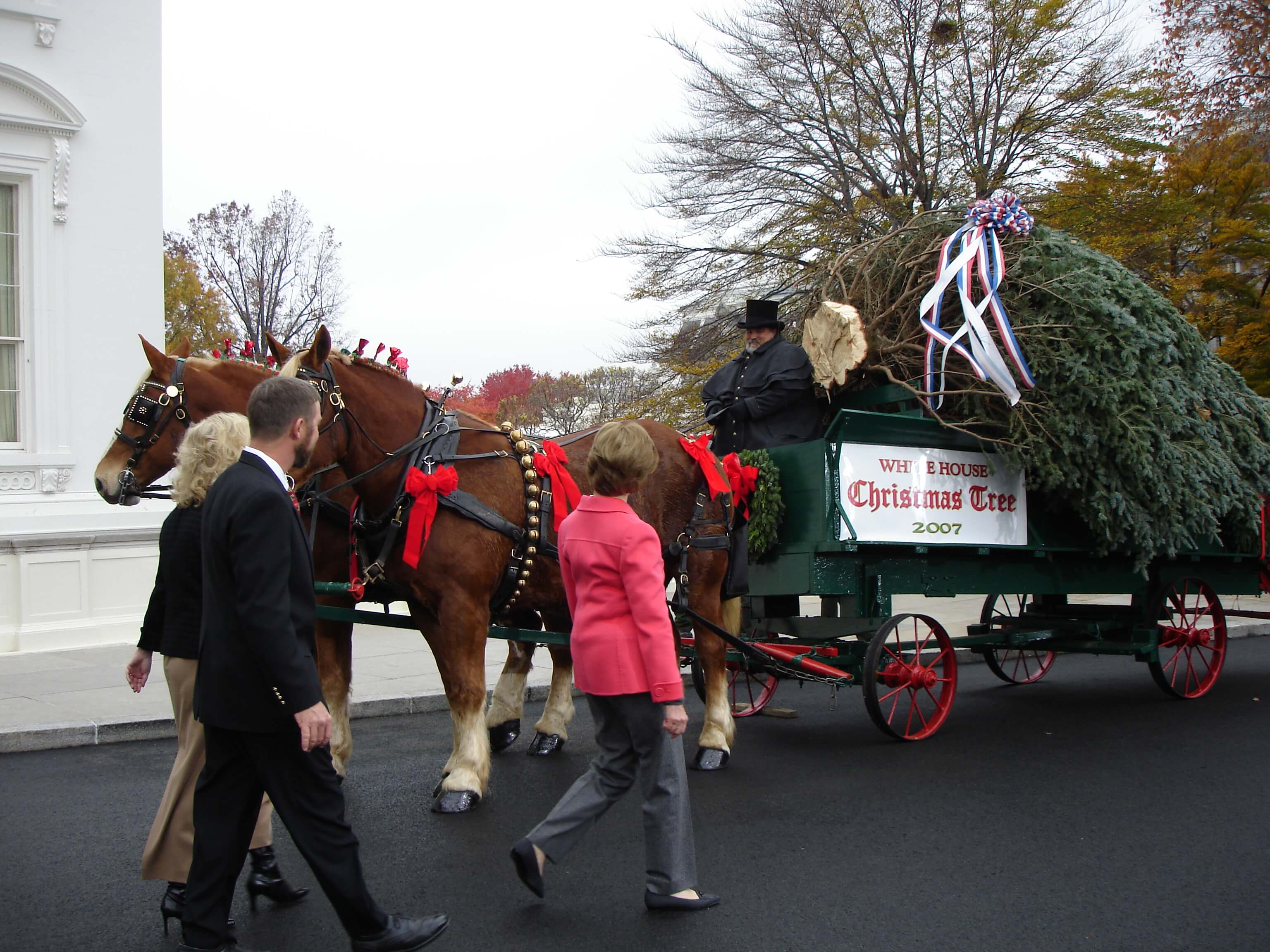 The White House Tree ⋆ Mistletoe Meadows