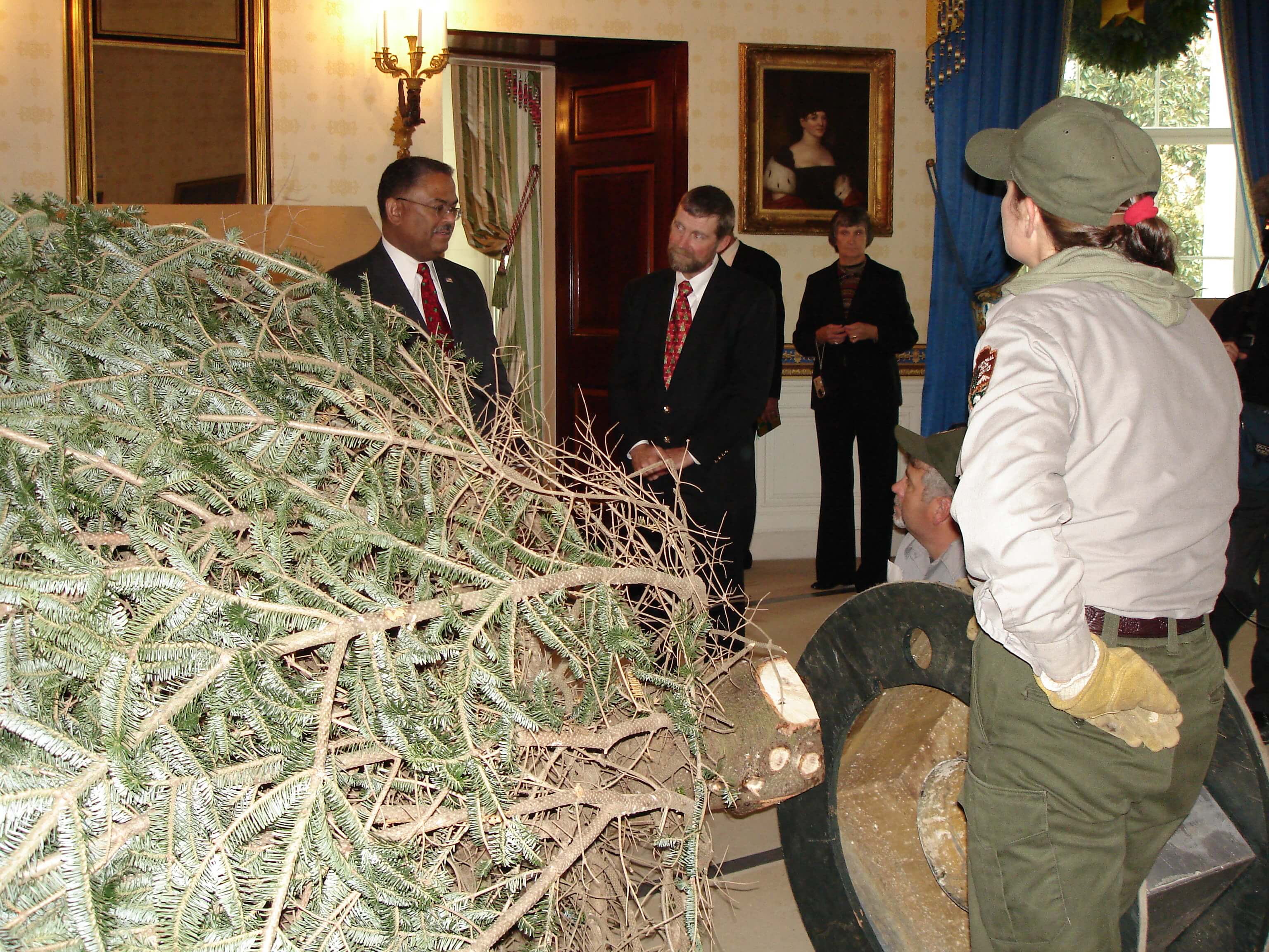 The White House Tree ⋆ Mistletoe Meadows