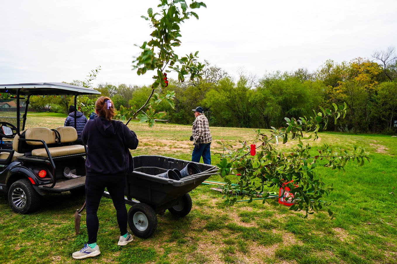 Image Gallery Landing Misty Oaks HOA