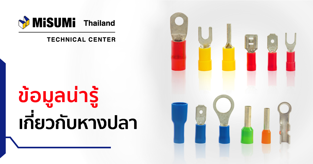 ข้อมูลน่ารู้เกี่ยวกับ หางปลา (Crimp Terminal) MISUMI Technical Center