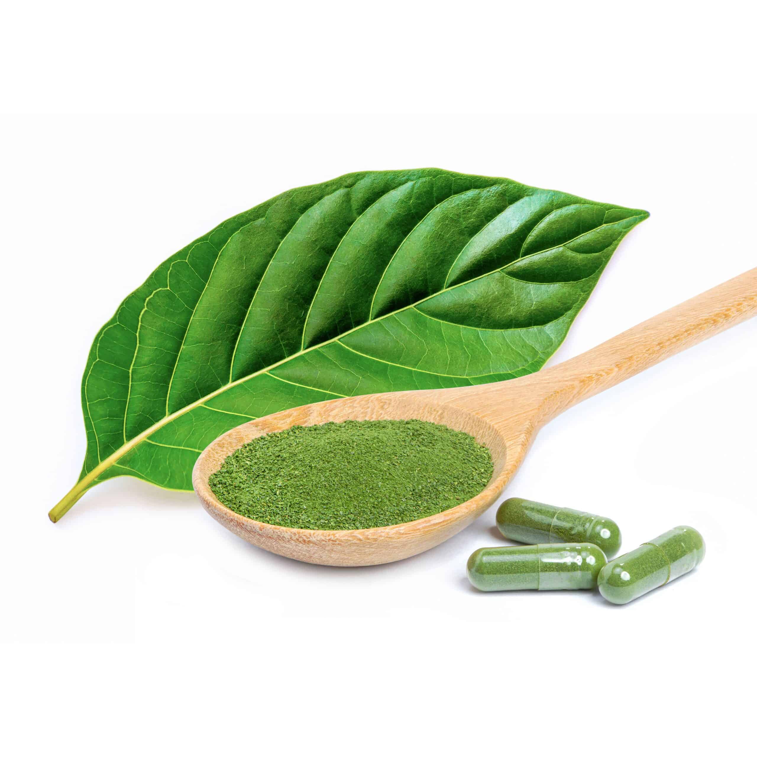 Kratom Extract Powder Types, Strength, and Buying Guide