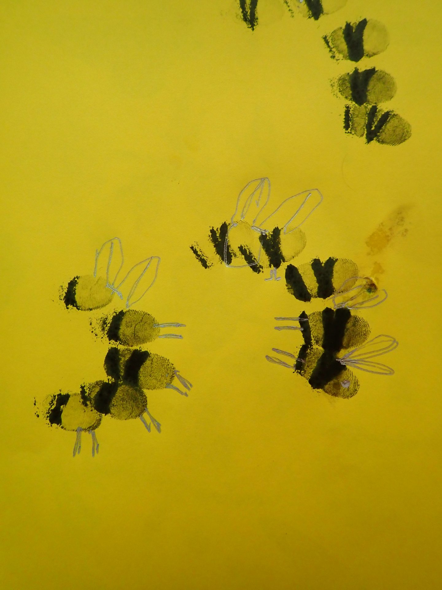 Fingerprint bees Mitber CIC