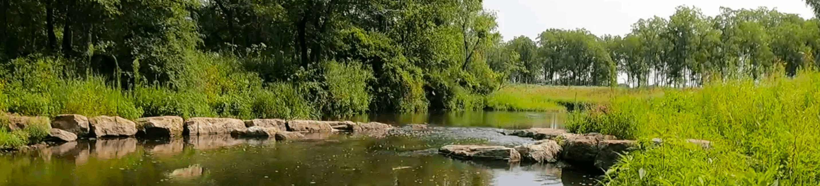 County Assessor Mitchell County, IA