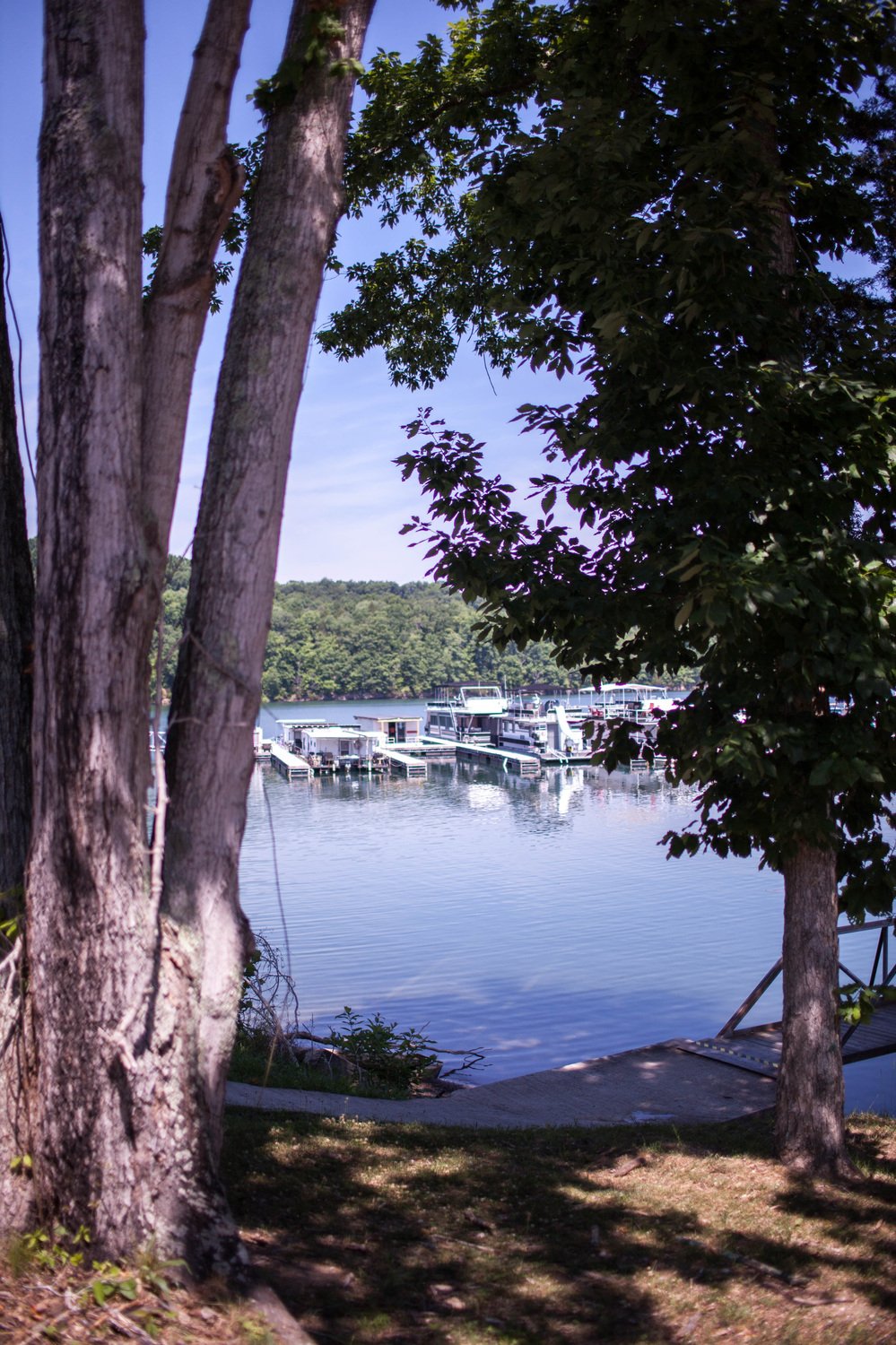 Dockside Cabins Dale Hollow Lake Rentals at Mitchell Creek Marina