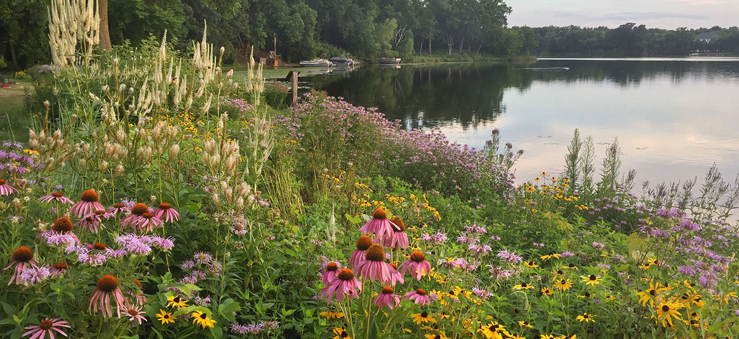 Mitchell Lake Association Dedicated to improving the quality of Mitchell Lake in Eden Prairie, MN