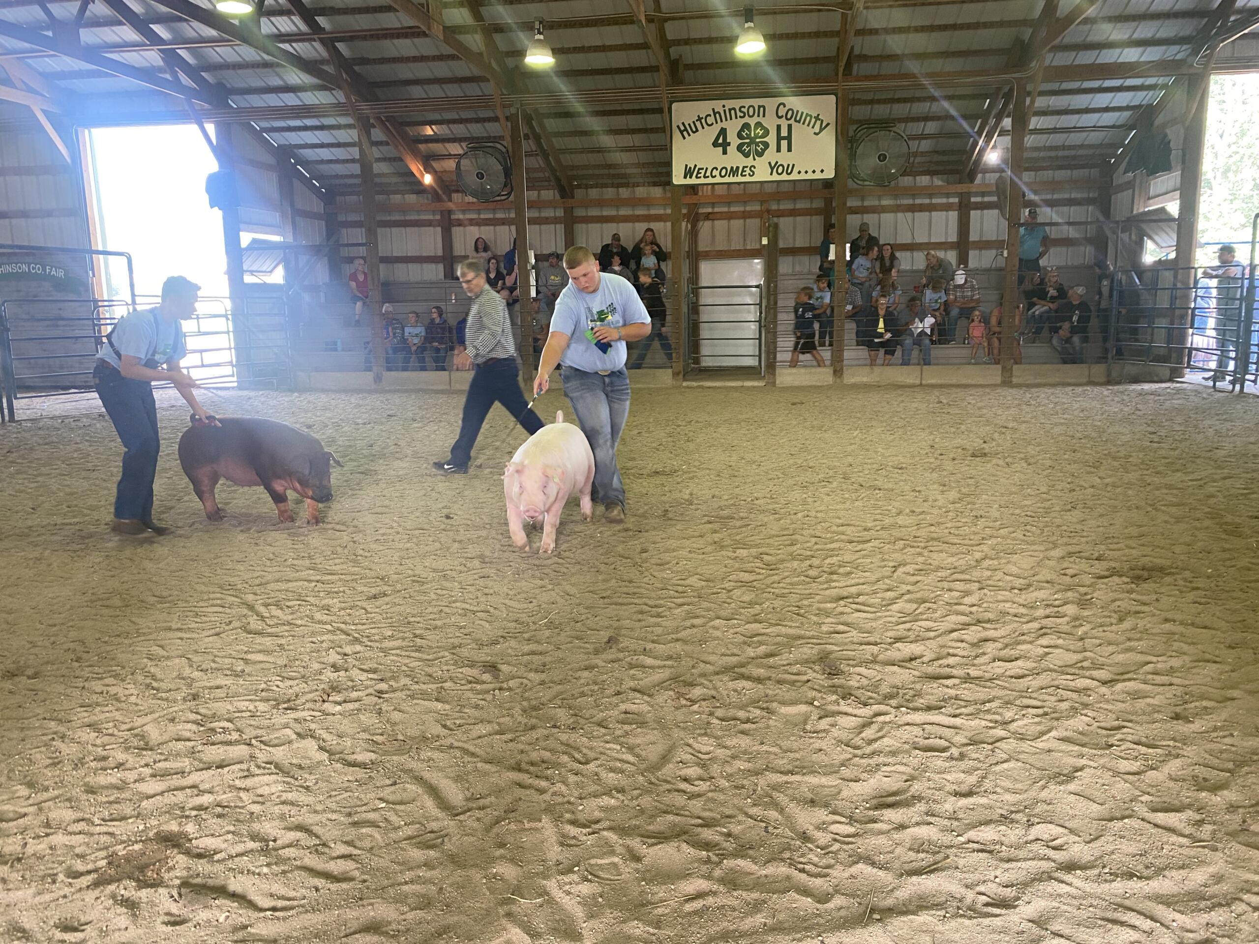 Hutchinson County Fair Mitchell Now